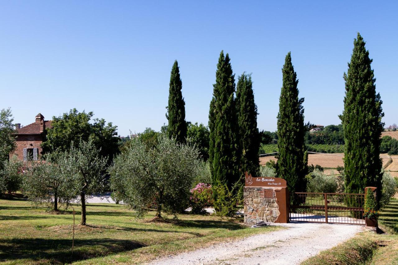 Marciano della Chiana La Bacaia 빌라 외부 사진